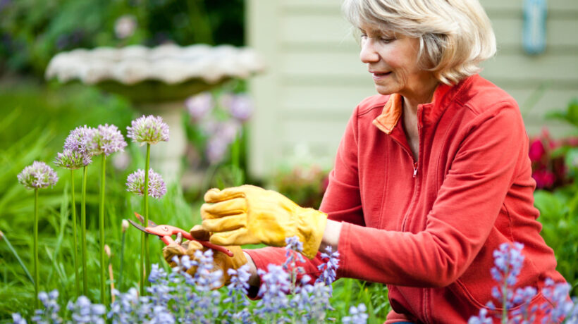 Elderly Woman Gardening